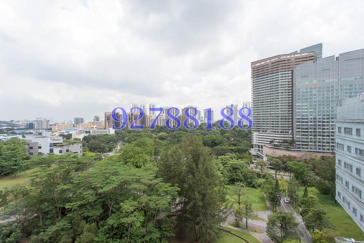 One-north Residences (D5), Apartment #170792192